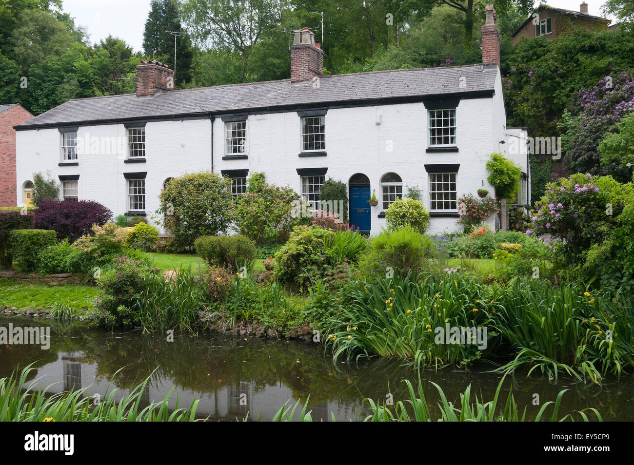 Rangée de cottages peints en blanc par l'étang Angleterre Cheshire Lymm Banque D'Images