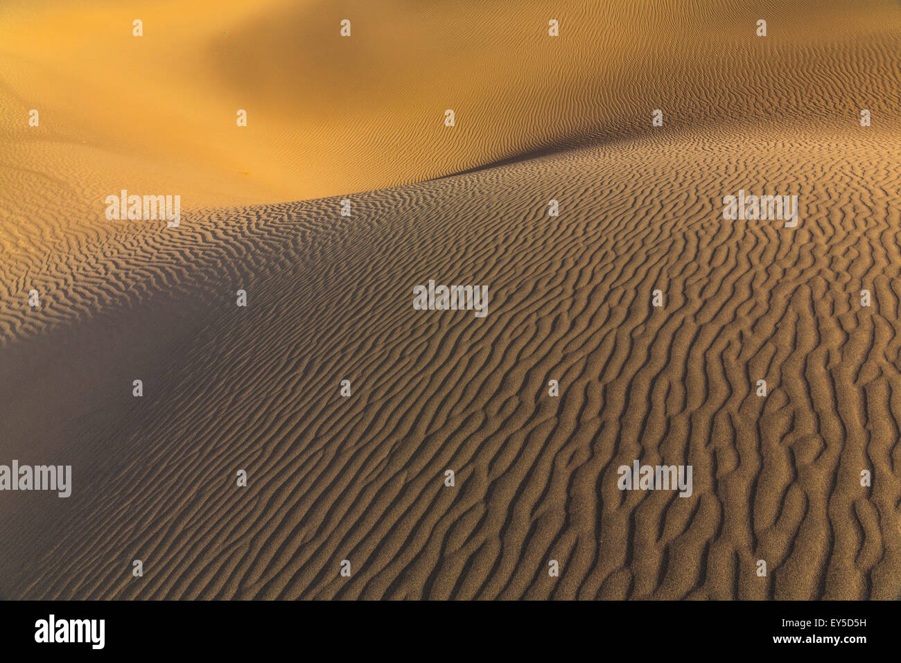 Télévision Mesquite Sand Dunes - Death Valley NP Californie Banque D'Images