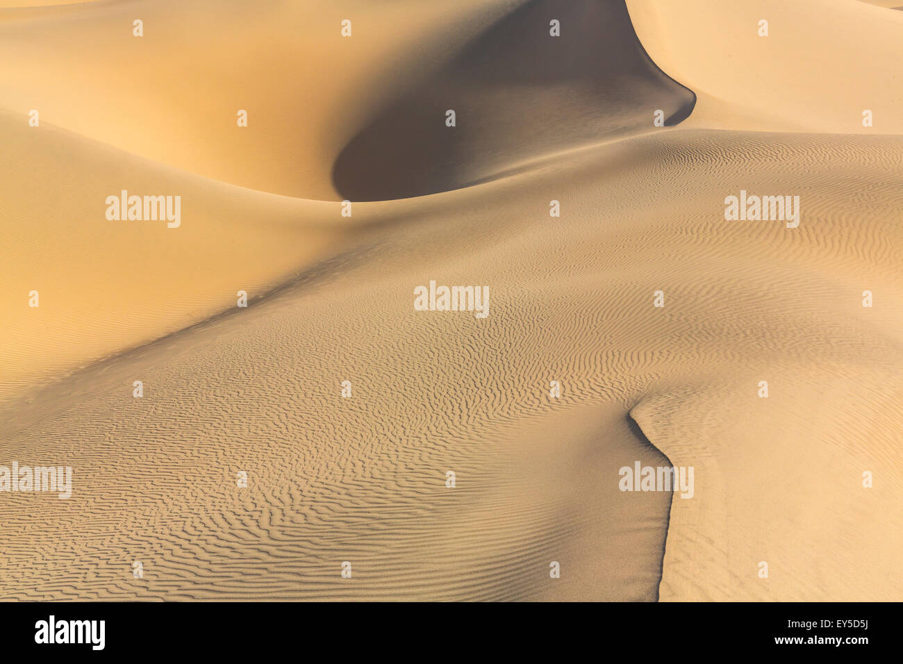 Télévision Mesquite Sand Dunes - Death Valley NP Californie Banque D'Images