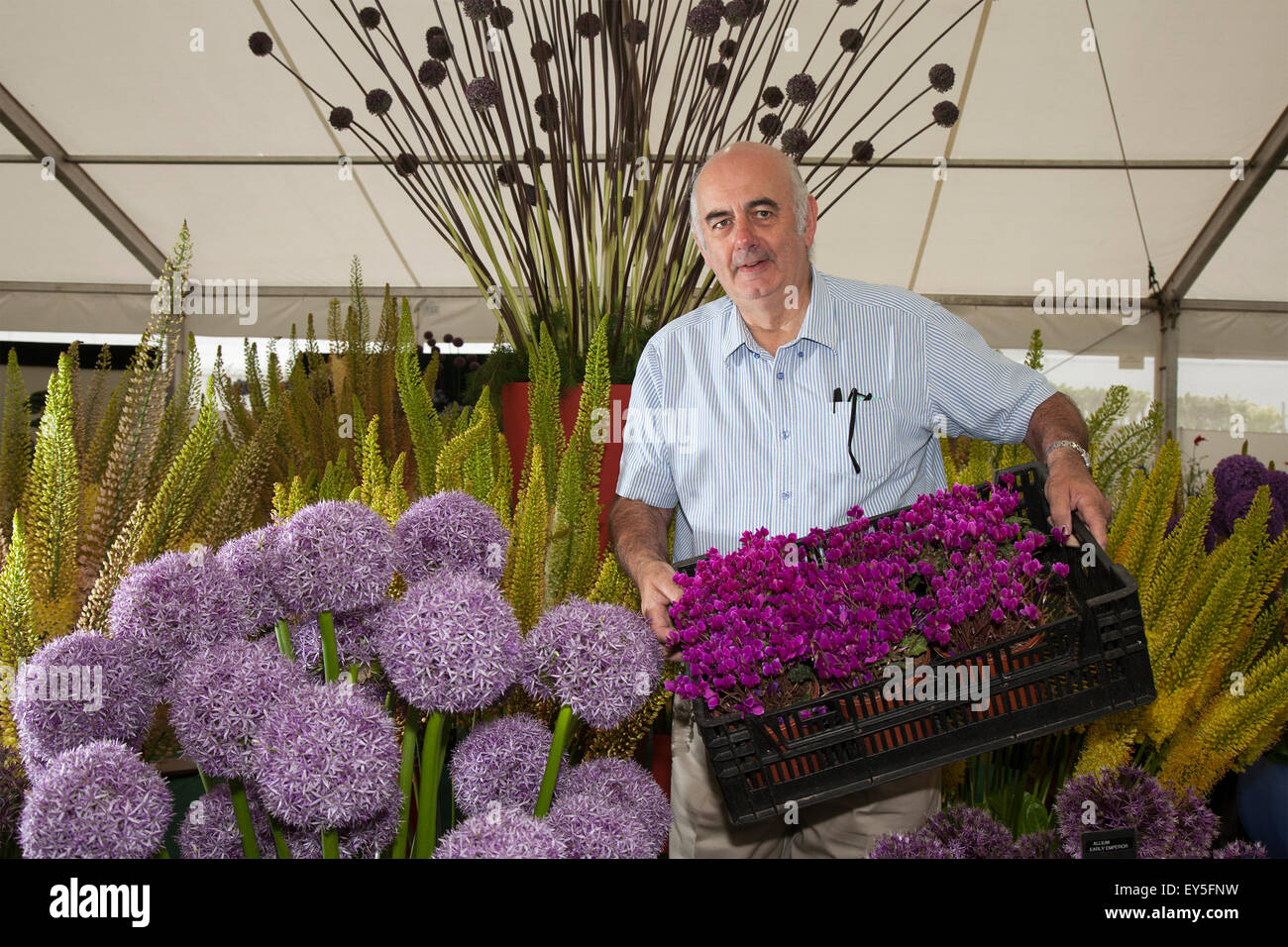 Tatton Park, Cheshire, Royaume-Uni 22 Juillet 2015. Jean Amand avec son exposition Erimus & Alium Globemaster au Tatton Park RHS Flower Show. Credit : Cernan Elias/Alamy Live News Banque D'Images