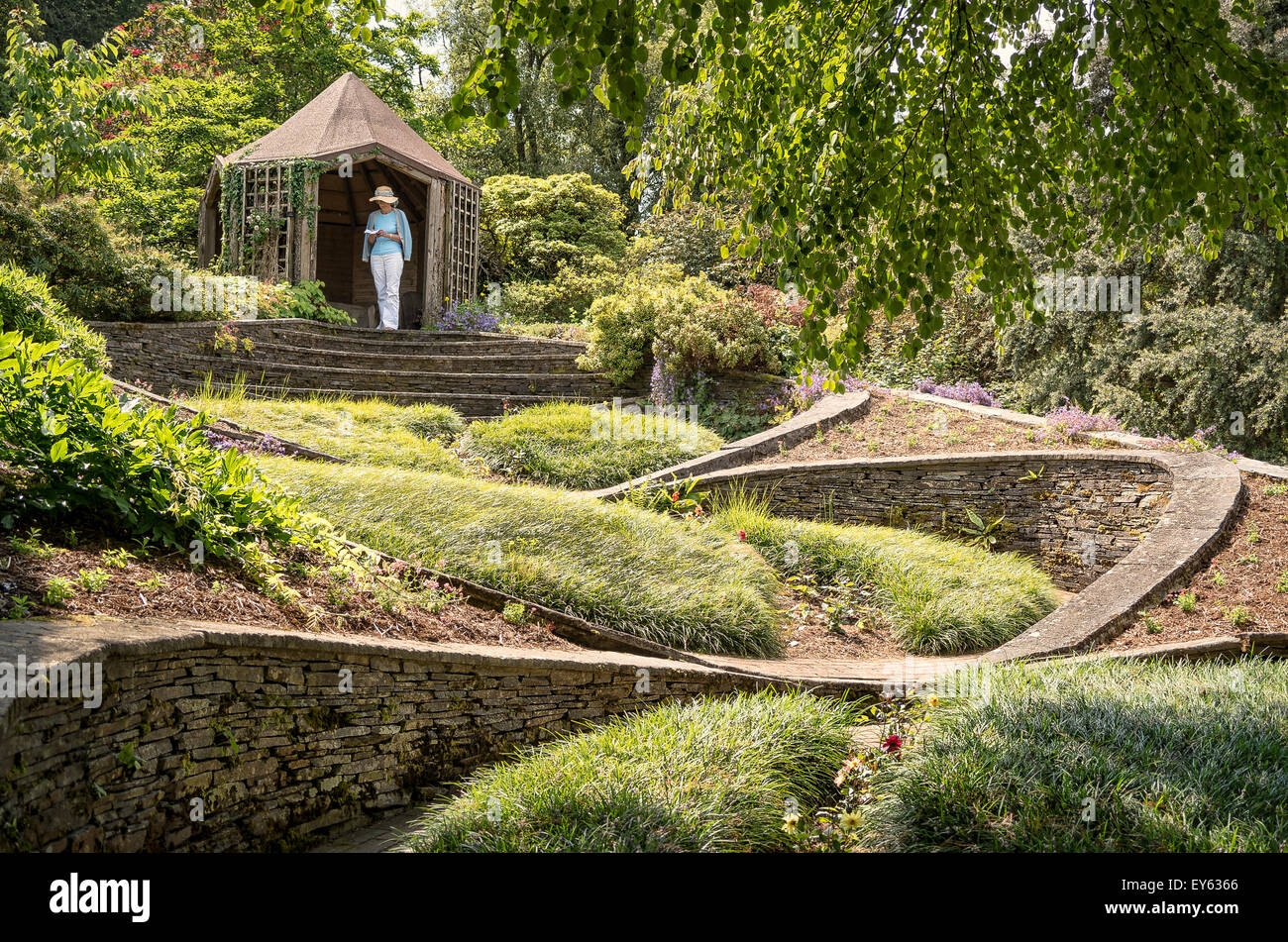 Garden design inhabituel les ovales dans le la maison Jardin Devon UK Banque D'Images