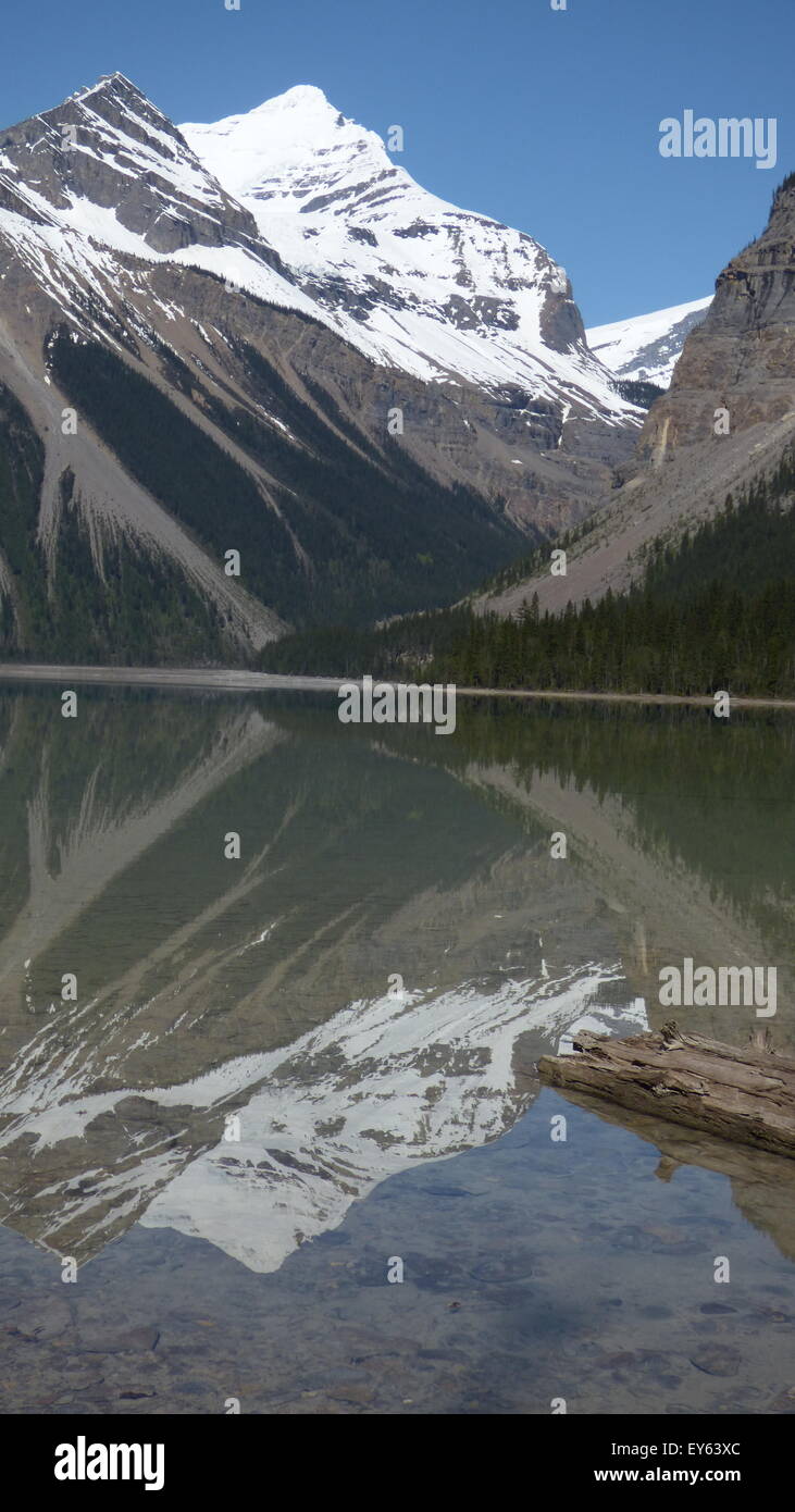 Le parc provincial du mont Robson, Kinney Lake (Colombie-Britannique) Banque D'Images