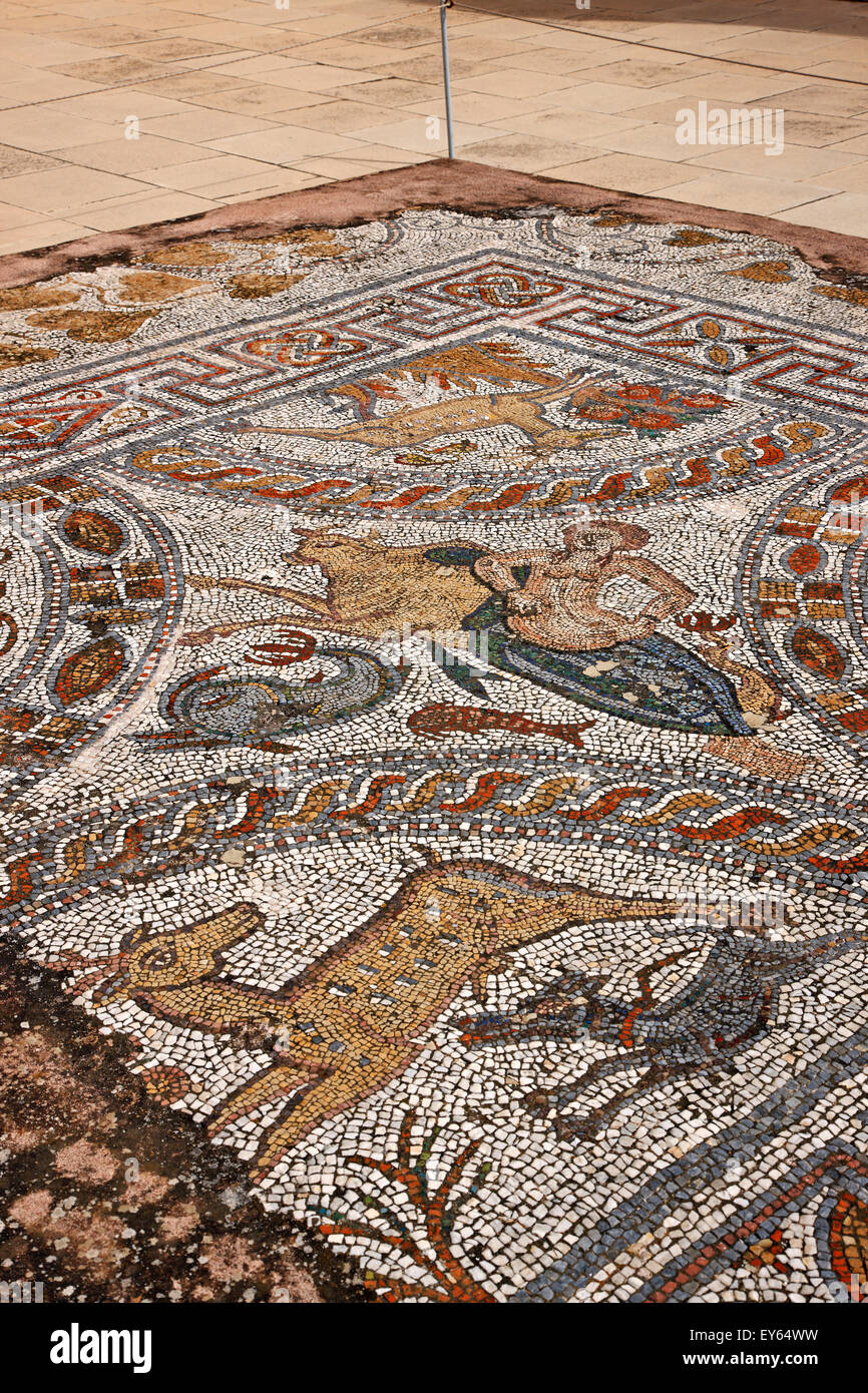 Belle mosaïque (période romaine) sur la terrasse du musée archéologique de l'île de Naxos, Chora de Naxos, Cyclades, en Grèce. Banque D'Images