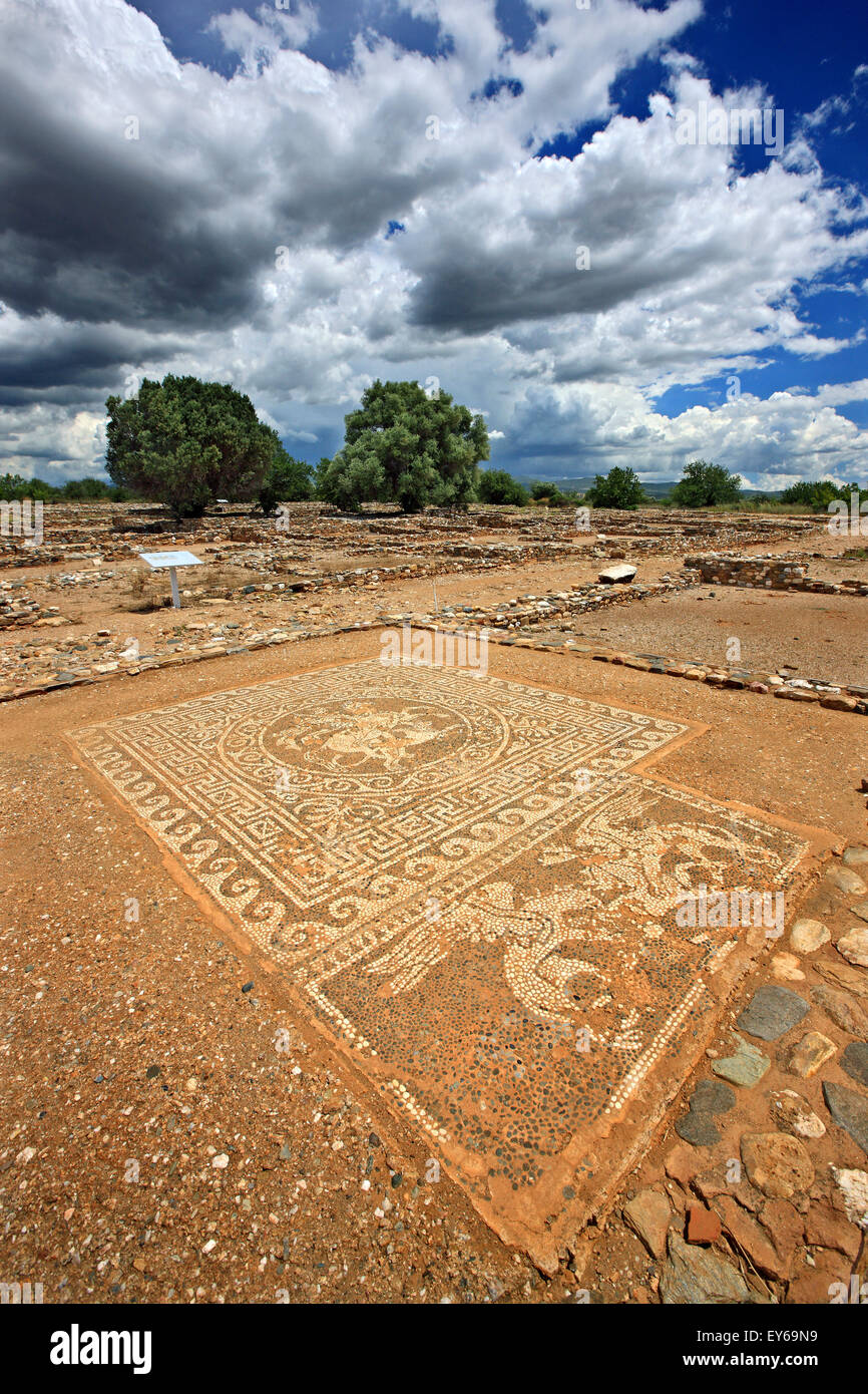 Belle mosaïque à Ancient Olynthos (Olynthus), municipalité, Polygyros ('Halkidiki Chalkidiki'), la Macédoine, la Grèce. Banque D'Images