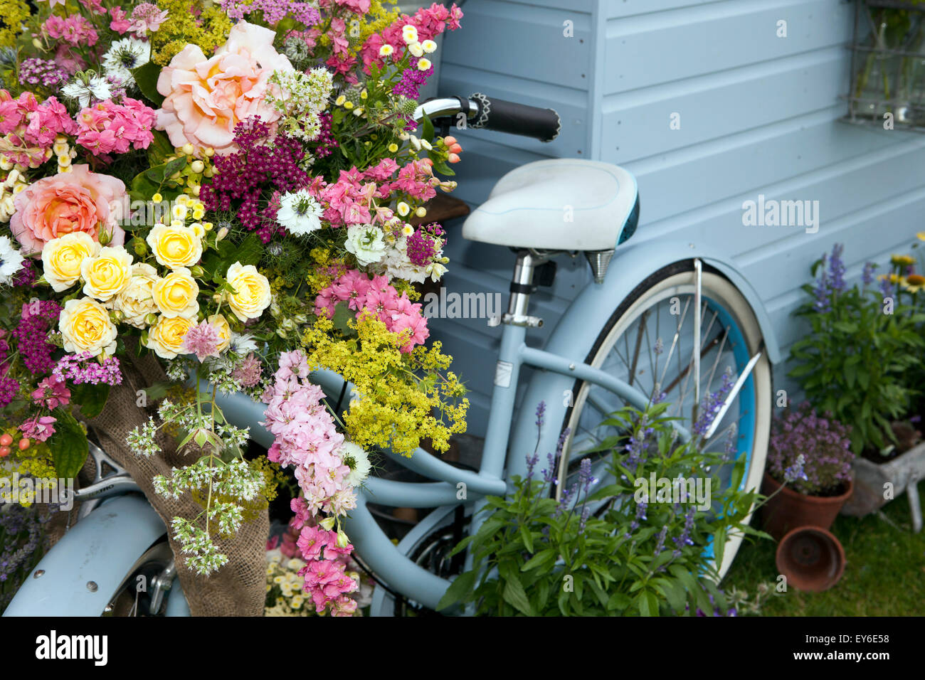 Blue shed, Bike & Location, fleurs et jardin hut à jour les membres de l'ERS dans le cadre du 17e Festival annuel de RHS Flower Show à Tatton Park, une célébration des meilleurs de jardinage avec une atmosphère de carnaval. Une grande journée pour les amoureux. Le spectacle est composé de trois "zones", chacun ayant son propre thème et saveur. Le "grandir" zone est un paradis pour les amoureux de plantes avec tant de choses à voir et à faire. Entourez-vous de la beauté dans le magnifique chapiteau floral et animé Village de plantes ; obtenir les meilleurs conseils d'experts sur l'ers l'empotage des bancs. Banque D'Images