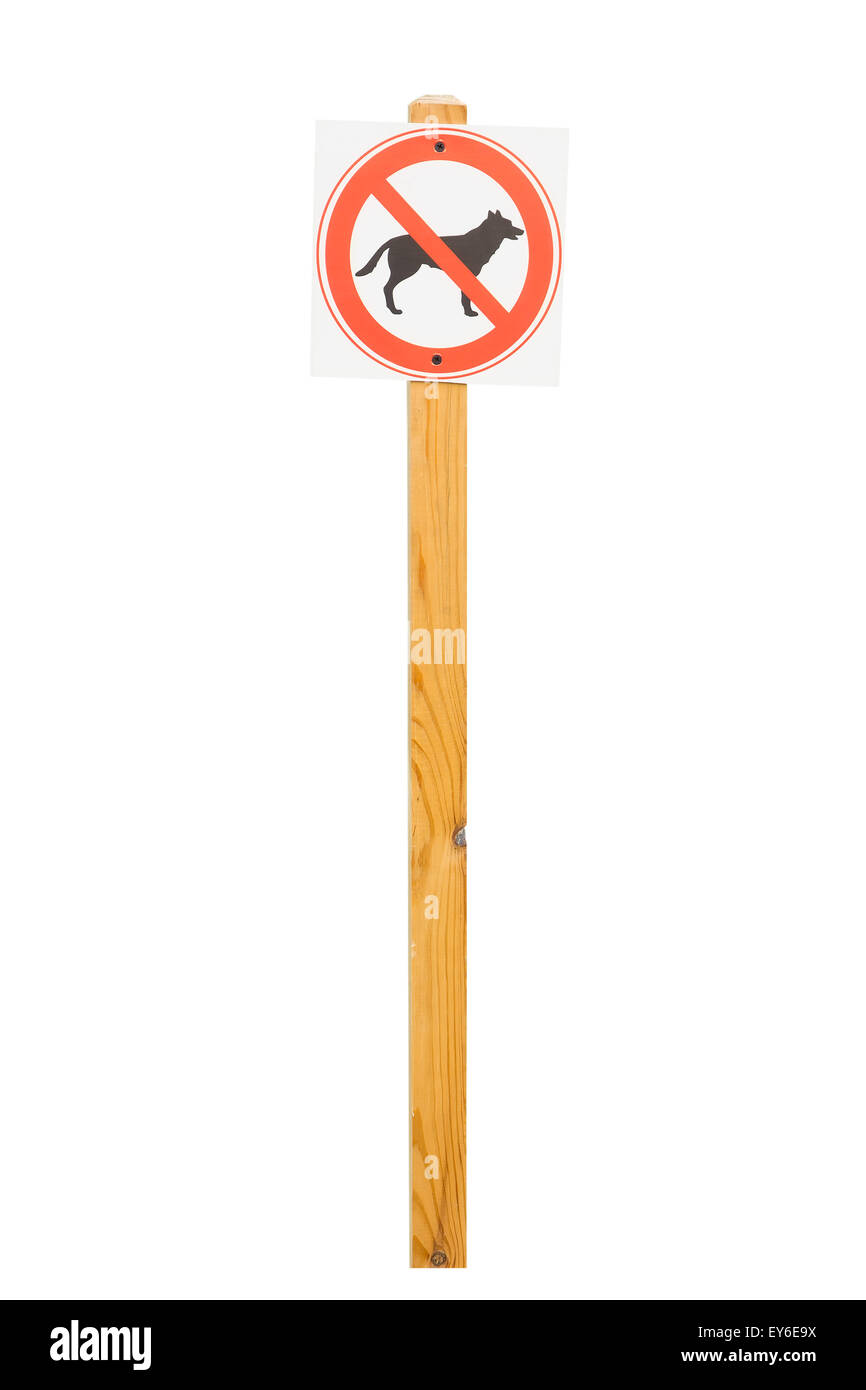 Quelques chiens interdits sur la colonne en bois. Isolé sur fond blanc. Banque D'Images