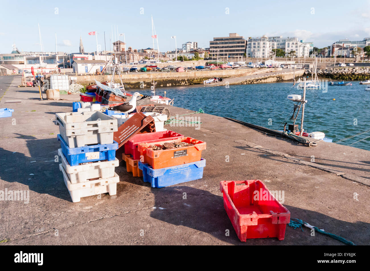 Seagull se trouve sur des caisses remplies de poissons déchets dans un port Banque D'Images