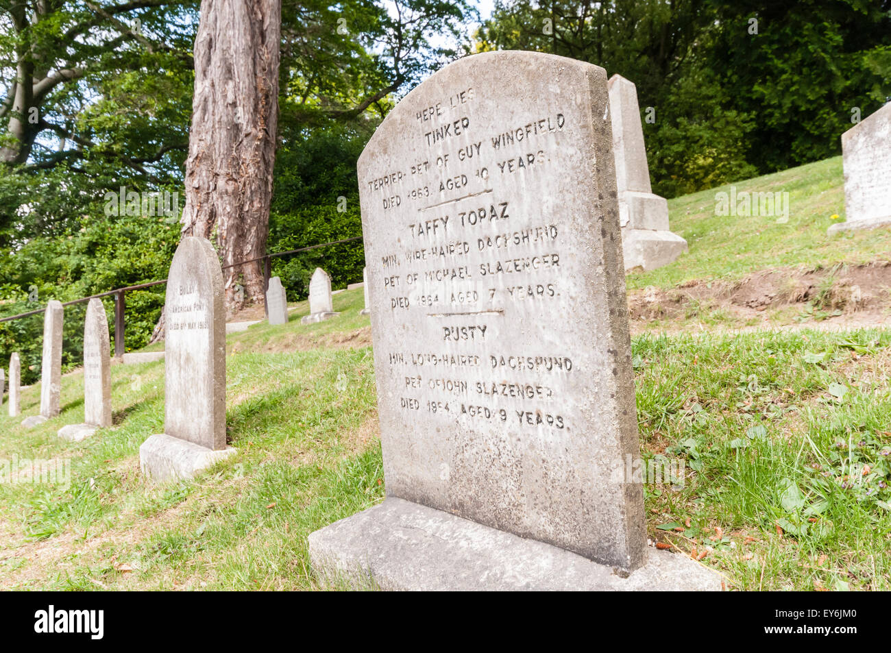 Les pierres tombales pour les chiens dans un cimetière pour animaux Banque D'Images