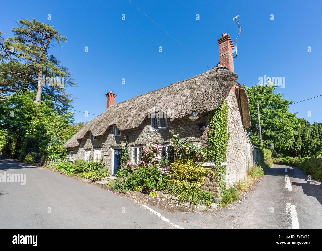 Jolie maison en pierre au toit de chaume, Tess Cottage, Evershot, un petit village dans le Dorset, dans le sud de l'Angleterre, en été avec ciel bleu Banque D'Images