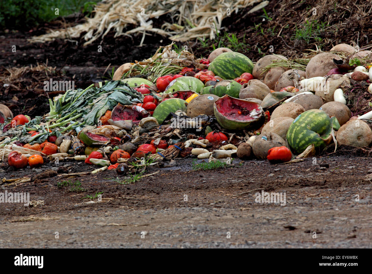 Tas de compost de fruits et légumes Banque D'Images