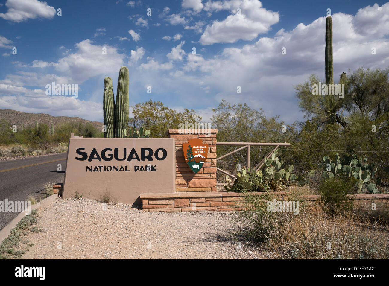 Le Saguaro National Park panneau à l'entrée de la section est du parc, près de Tucson, Arizona, USA. Banque D'Images