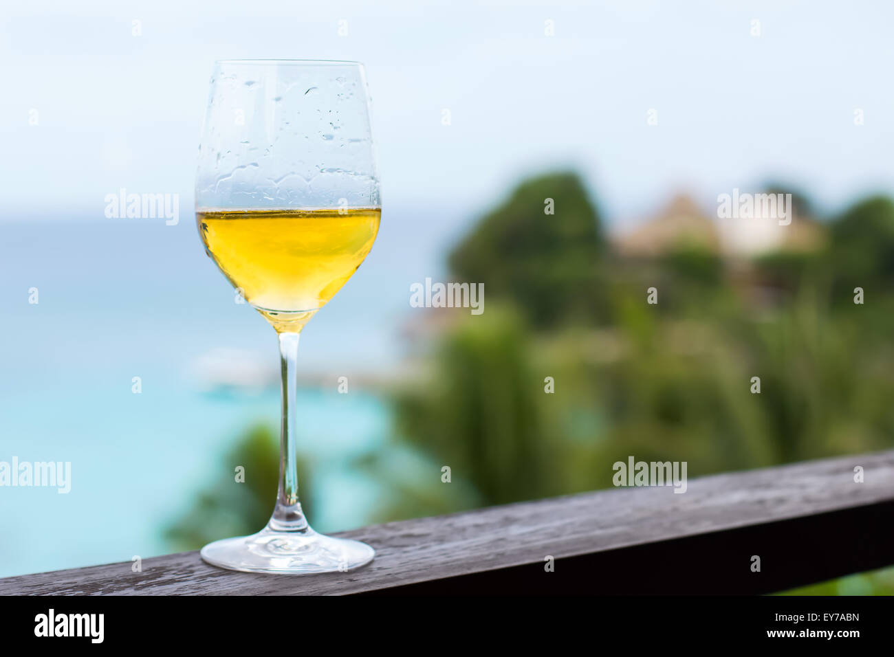 Verre de vin blanc sur le balcon de fer, voir Tropical Banque D'Images