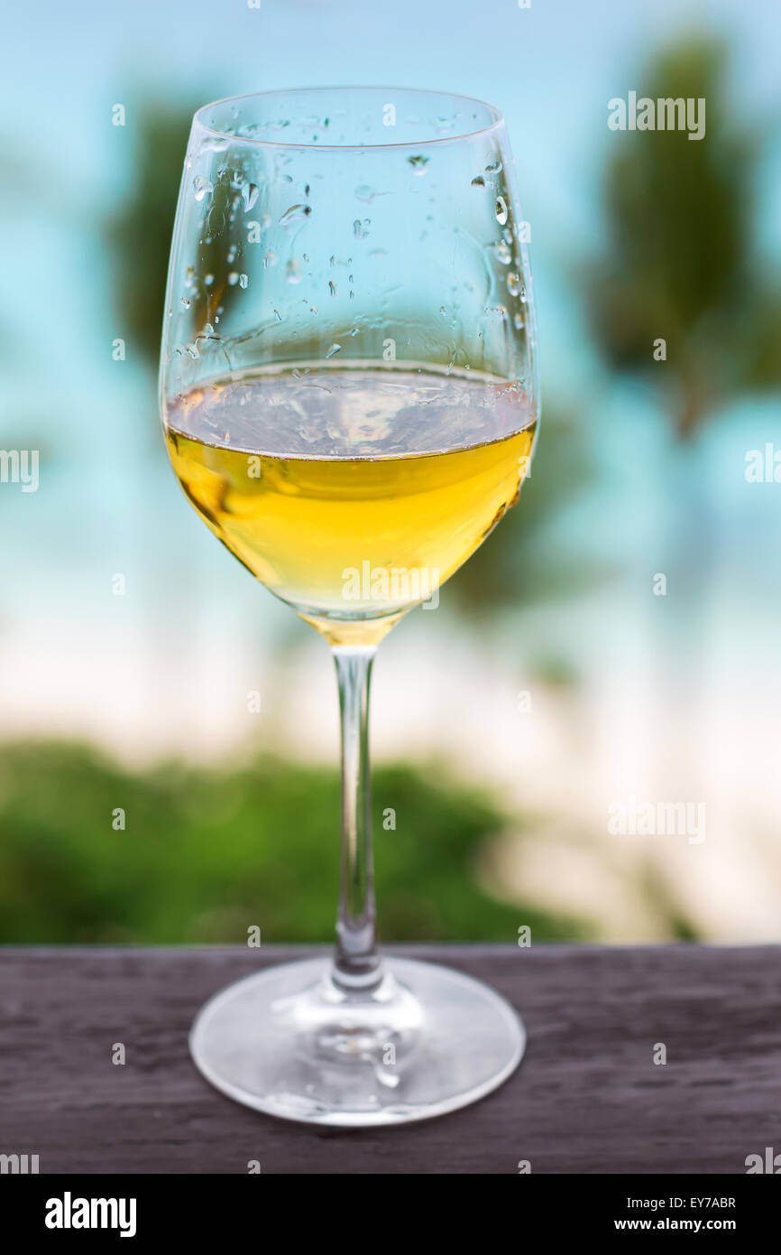 Verre de vin blanc sur le balcon de fer, voir Tropical Banque D'Images