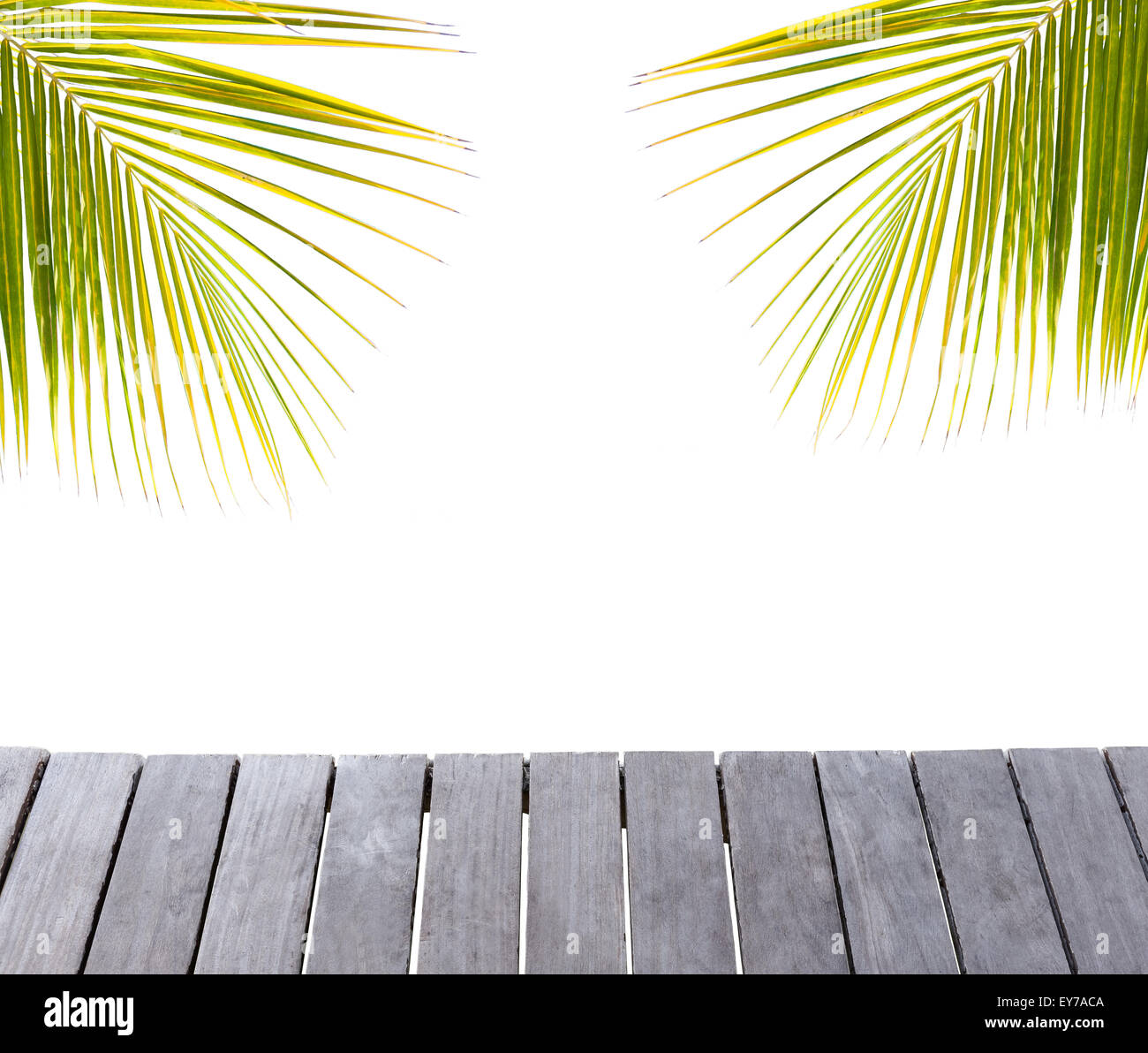 Jetée en bois et feuilles de palmiers d'ossature isolé sur fond blanc Banque D'Images