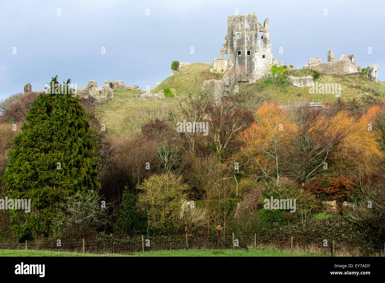 Une vue sur les vestiges historiques du 11ème siècle château de Corfe, construit par Guillaume le Conquérant dans le Dorset, en Angleterre sur une journée l'hiver Banque D'Images
