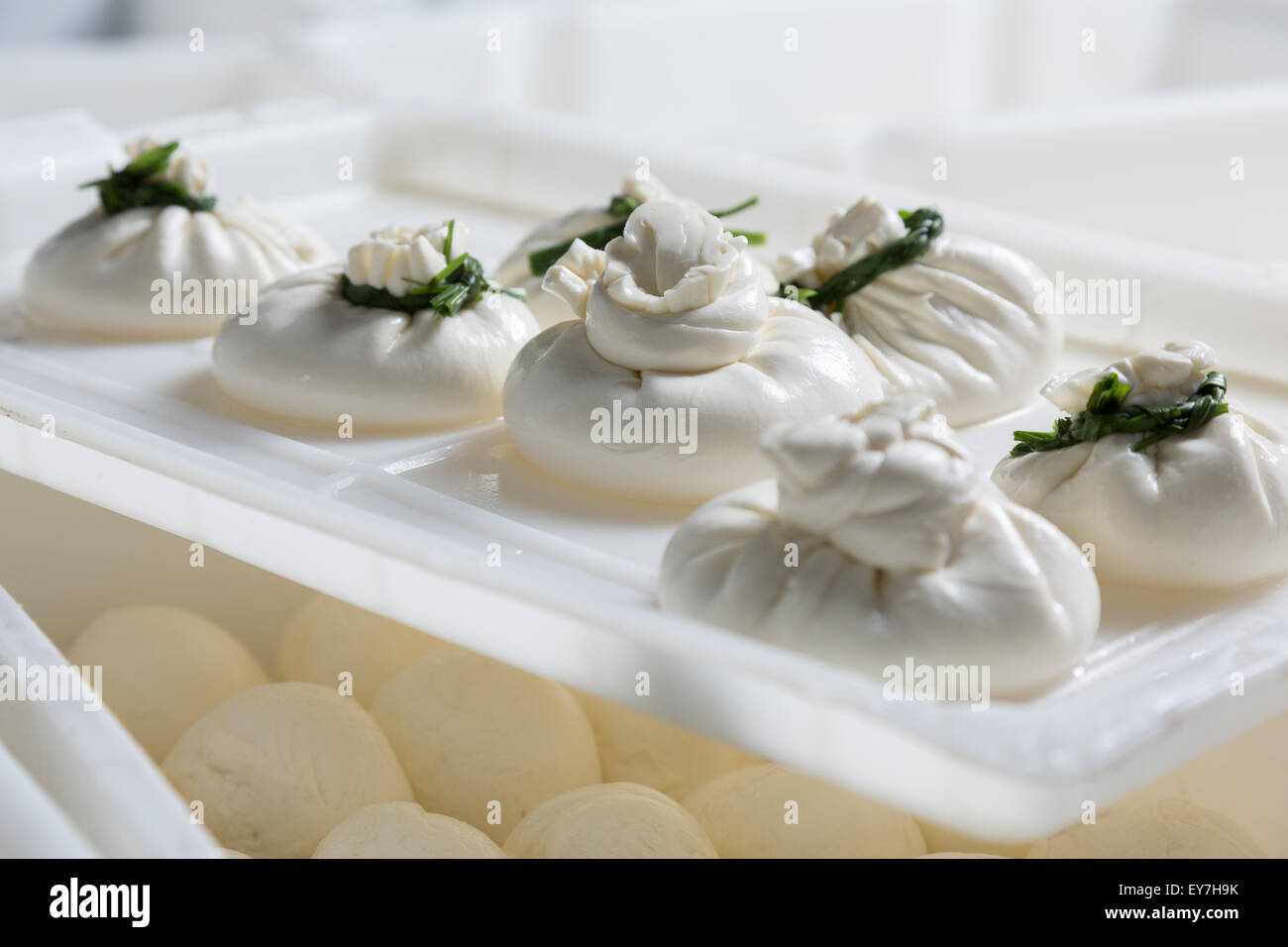 Burrata fromage frais généraux sur une production Banque D'Images