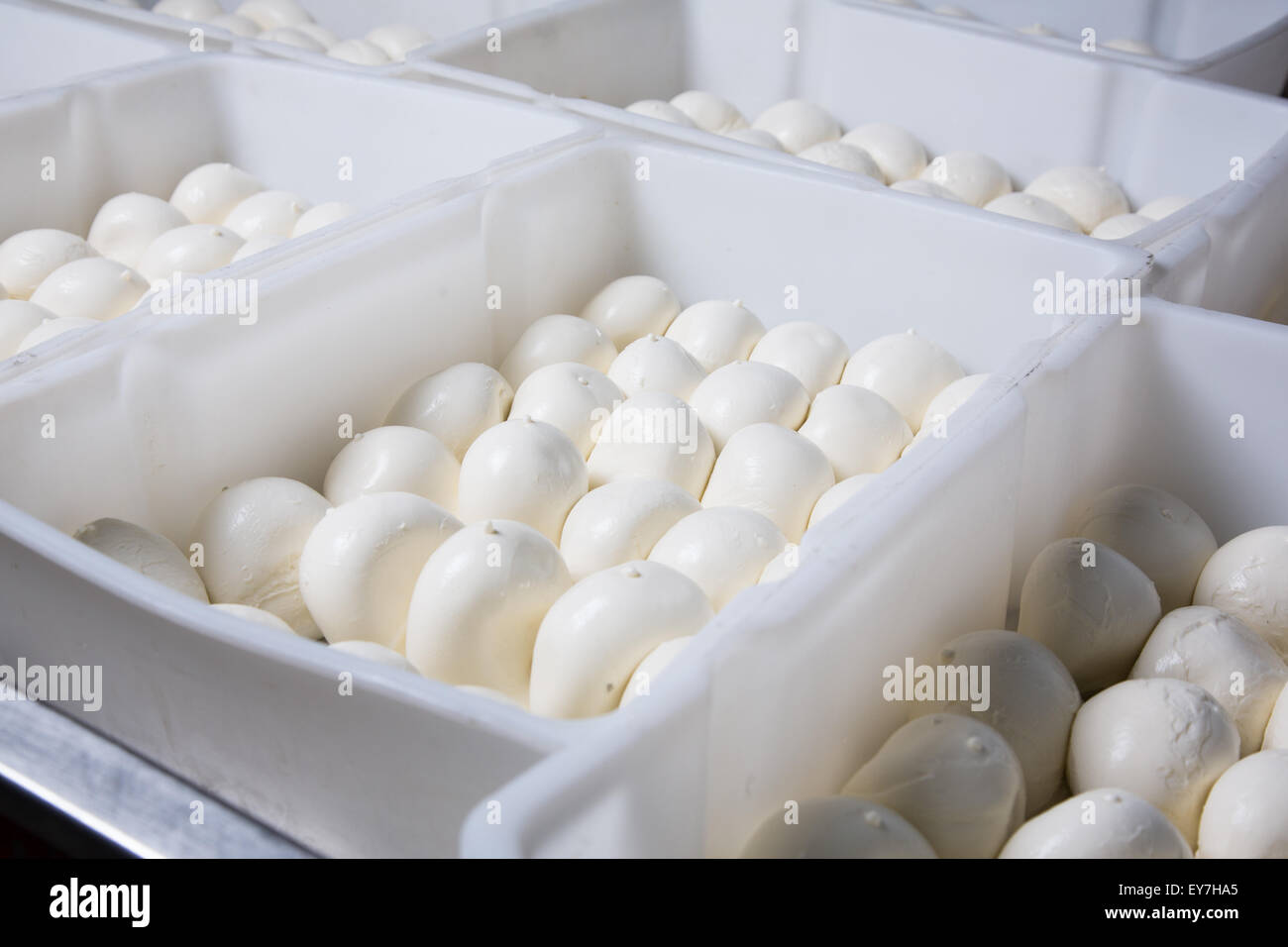 Fromage mozzarella frais généraux couché dans une des boîtes sur une production Banque D'Images