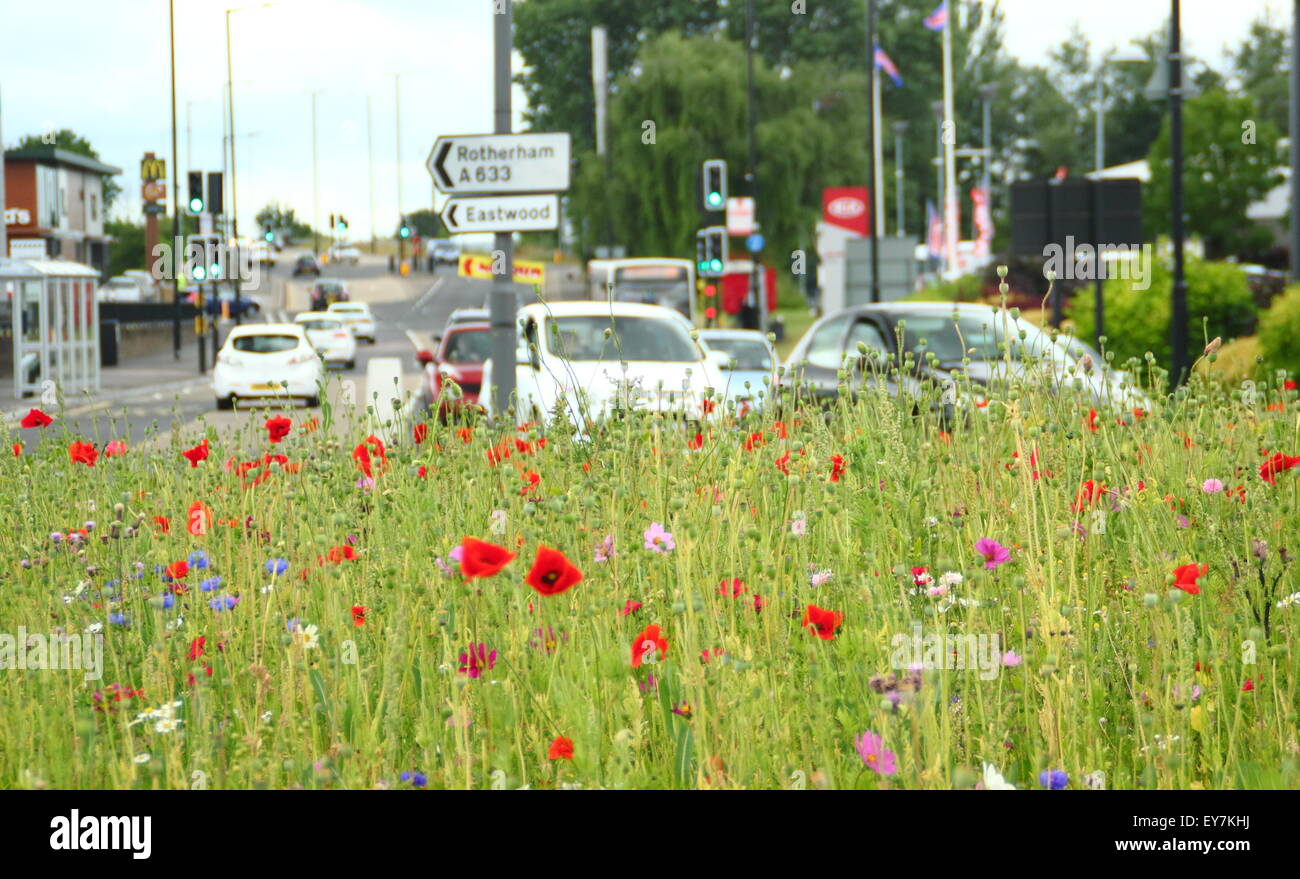 Naviguer dans un rond-point trafic débordant de fleurs semées dans la région de Parkgate Yorkshire Angleterre , Royaume-Uni Banque D'Images