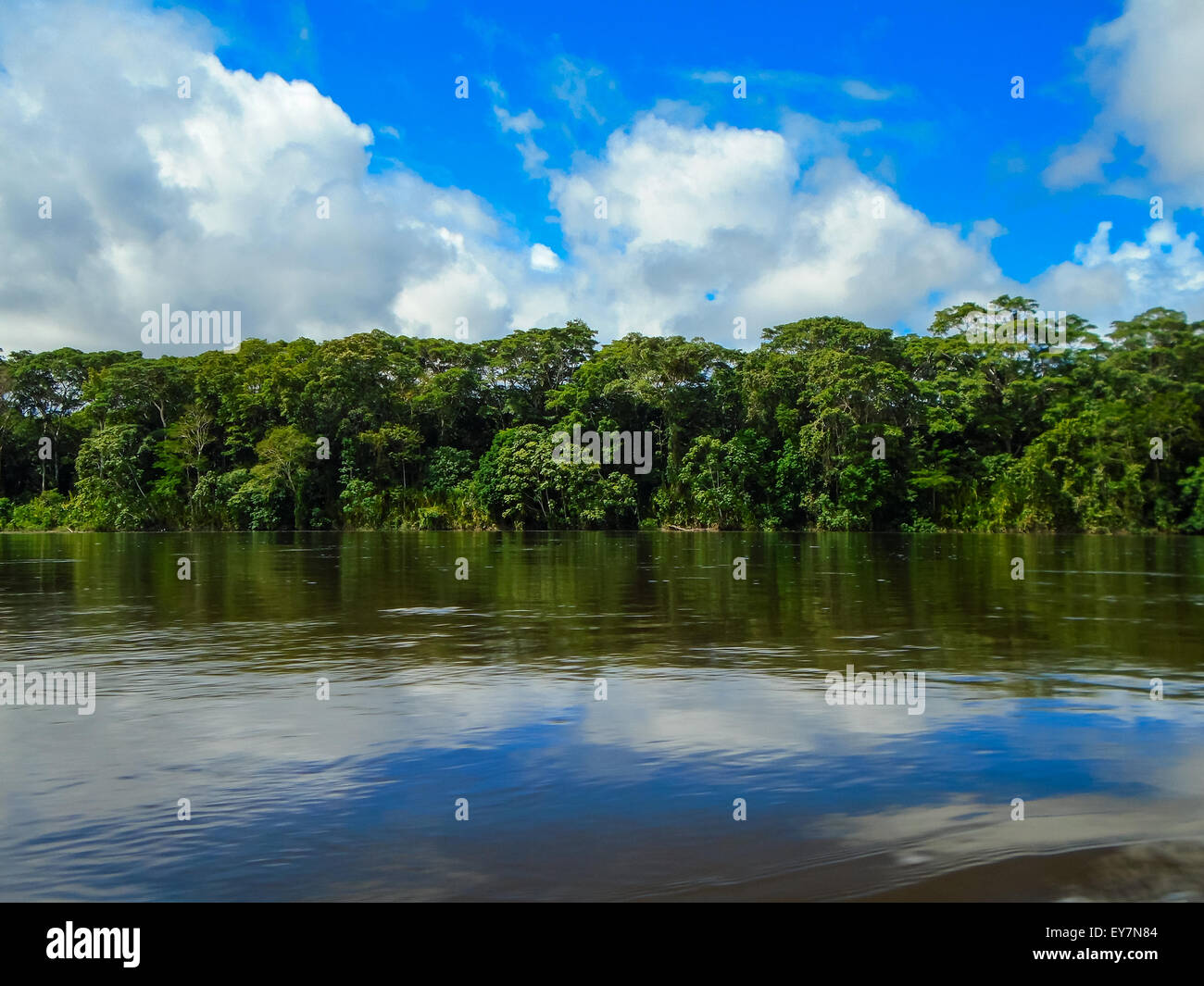 Rio Napo Banque D'Images