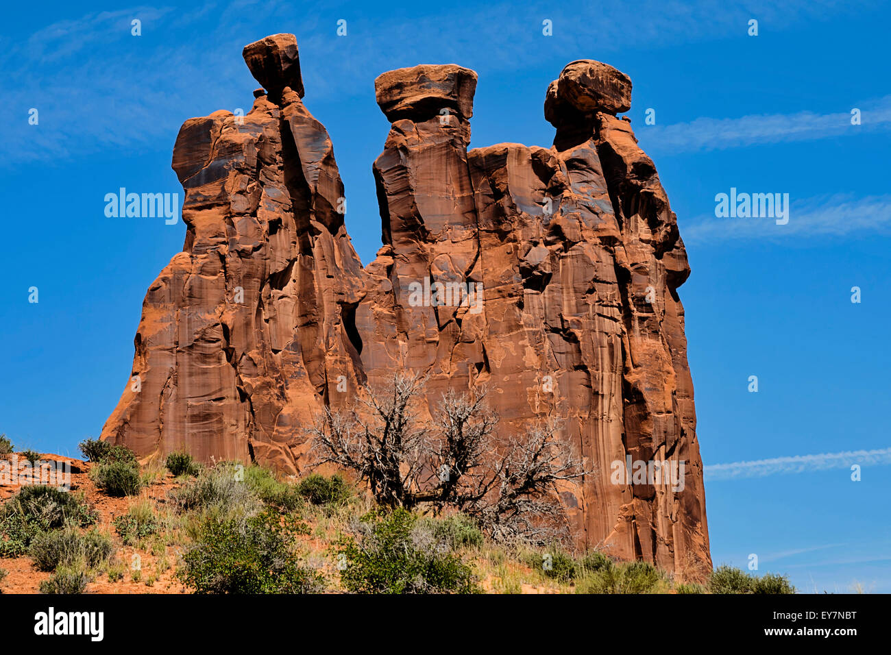 Les trois commères, Arches National Park, Utah, USA, Amérique du Nord, États-Unis Banque D'Images