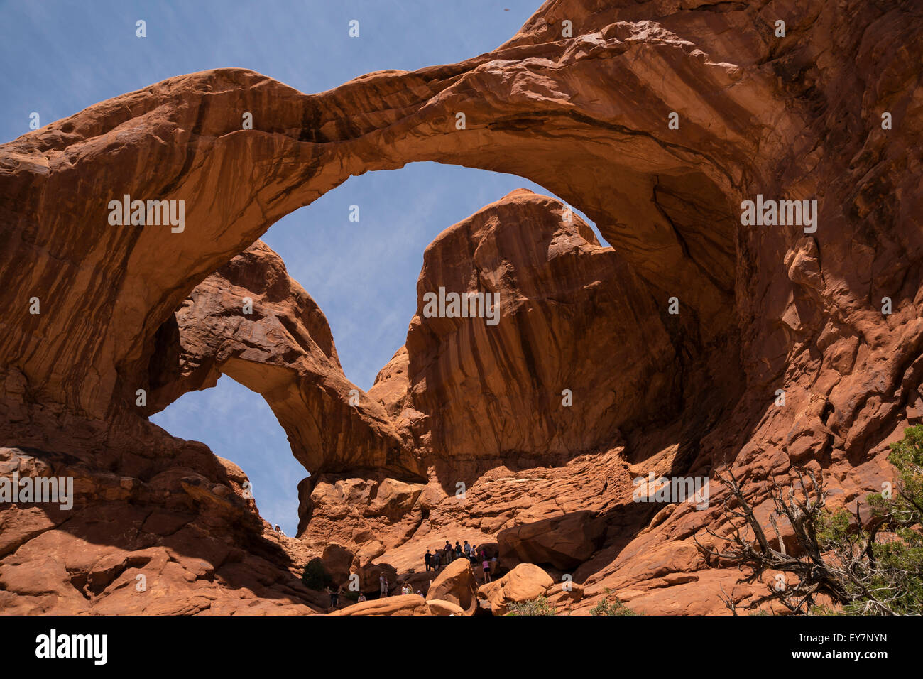 La Double Arch, Arches National Park, Utah, USA, Amérique du Nord, États-Unis Banque D'Images
