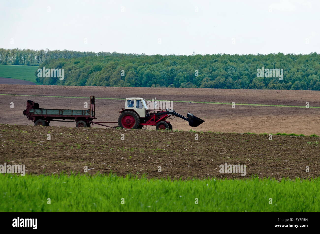 Tracteur à roues, distribuer le fumier sur un champ, Ludogorie, Bulgarie Banque D'Images