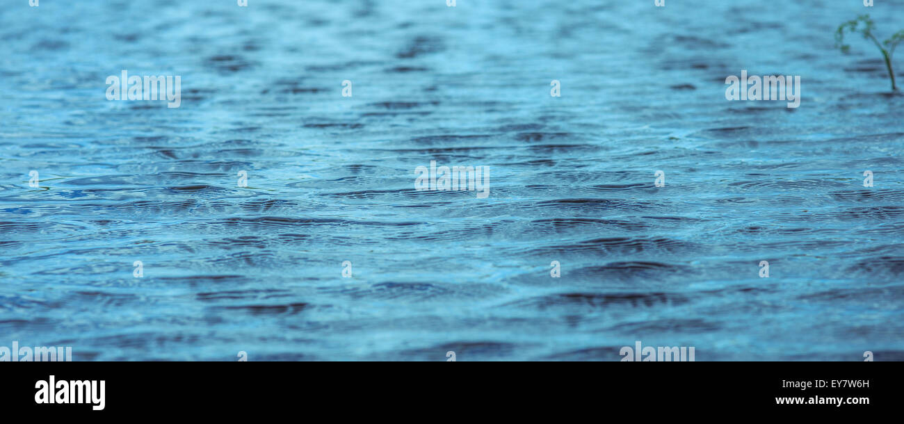 Arrière-plan de votre site, l'ondulation de l'eau dans le petit vent w Banque D'Images