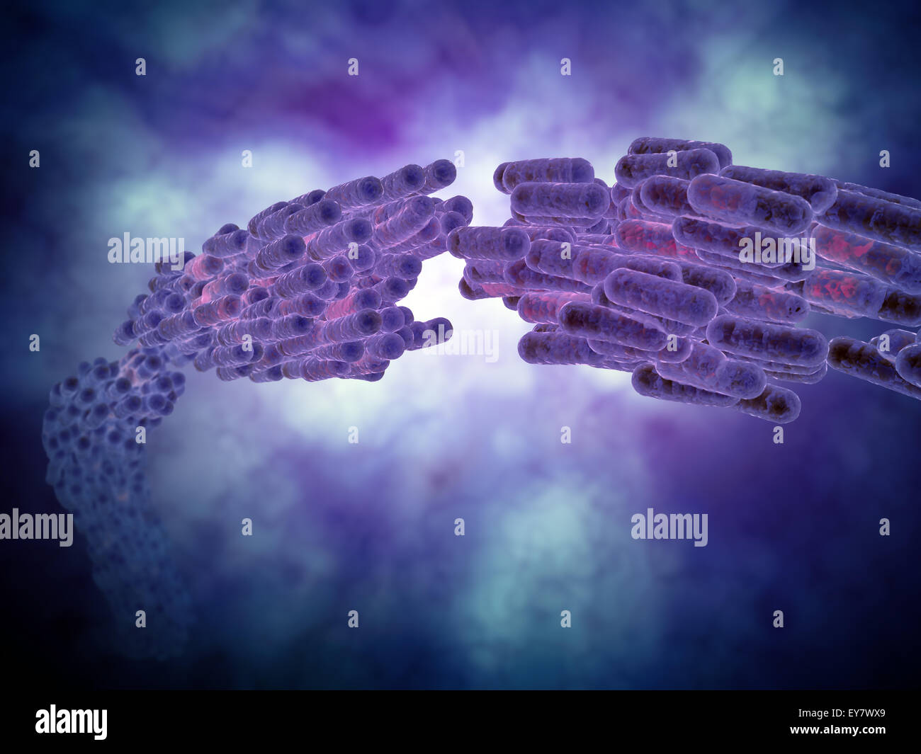 Colonie de bactérie - illustration scientifique Banque D'Images