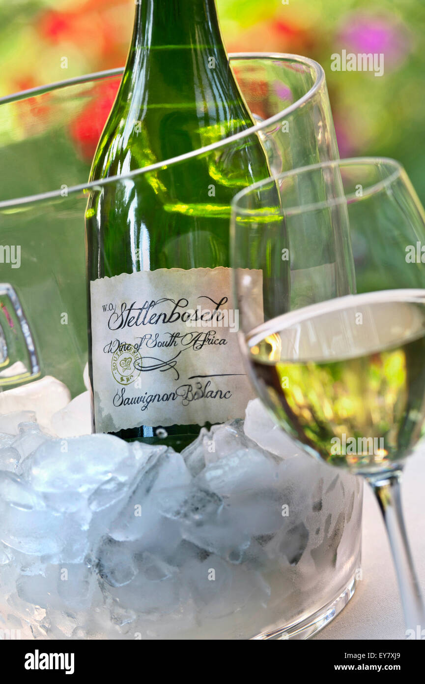 Stellenbosch Afrique du Sud Sauvignon Blanc Vin bouteille en verre et seau à glaçons en situation ensoleillée jardin en plein air Banque D'Images