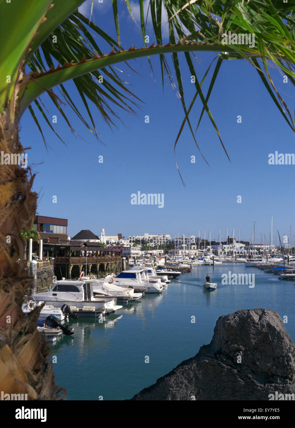 Marina Rubicon Lanzarote marina de luxe encadrée de palmiers avec Roche de lave en premier plan Lanzarote Iles Canaries Espagne Banque D'Images