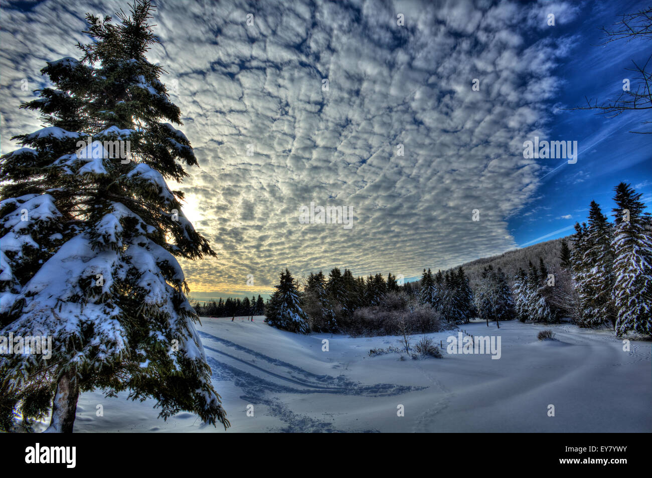 Image HDR de l'hiver neige scène au Nouveau-Brunswick, Canada. Banque D'Images