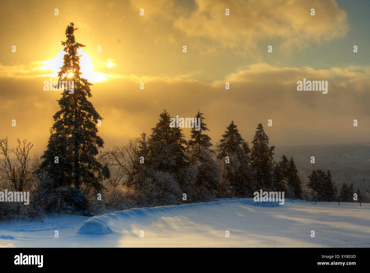 Image HDR de fin d'après-midi et la neige douche au Nouveau-Brunswick, Canada. Banque D'Images