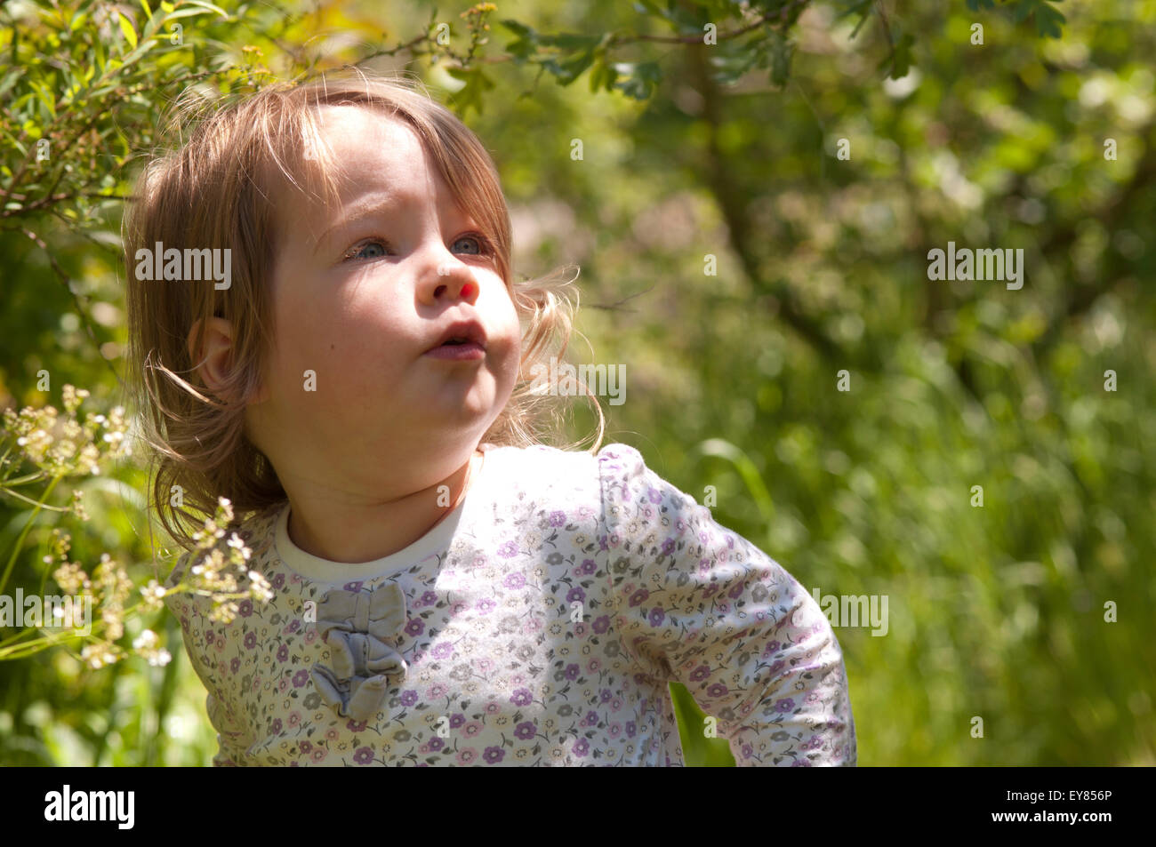 Gros plan d'une petite fille à la curiosité Banque D'Images