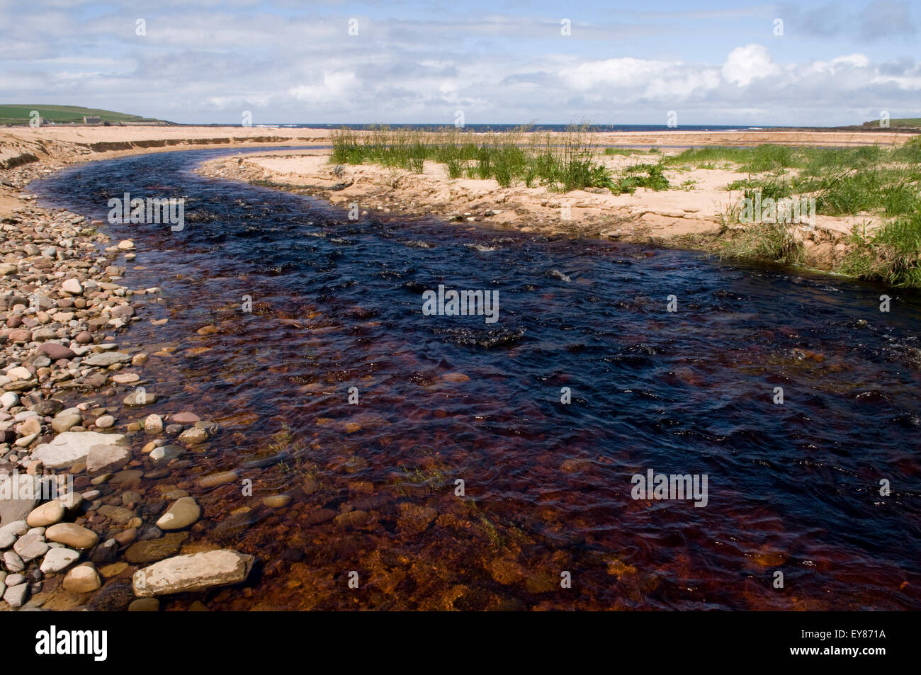 Rivière qui coule vers le bas de la baie, Sandside Reay, Caithness, Ecosse Banque D'Images