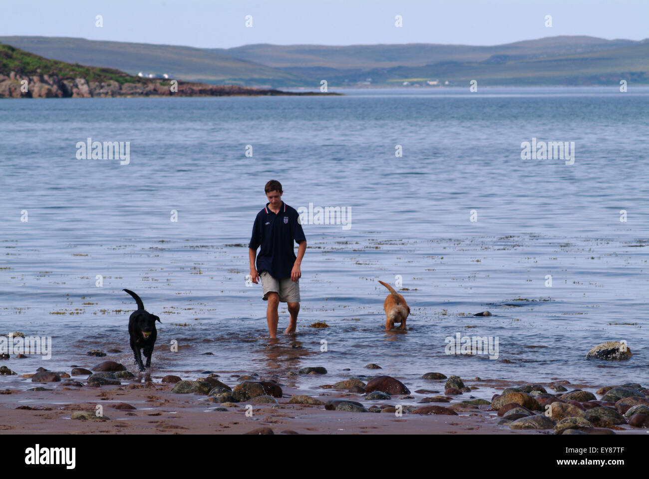Teenage boy avec ses chiens à la marche sur la plage Banque D'Images
