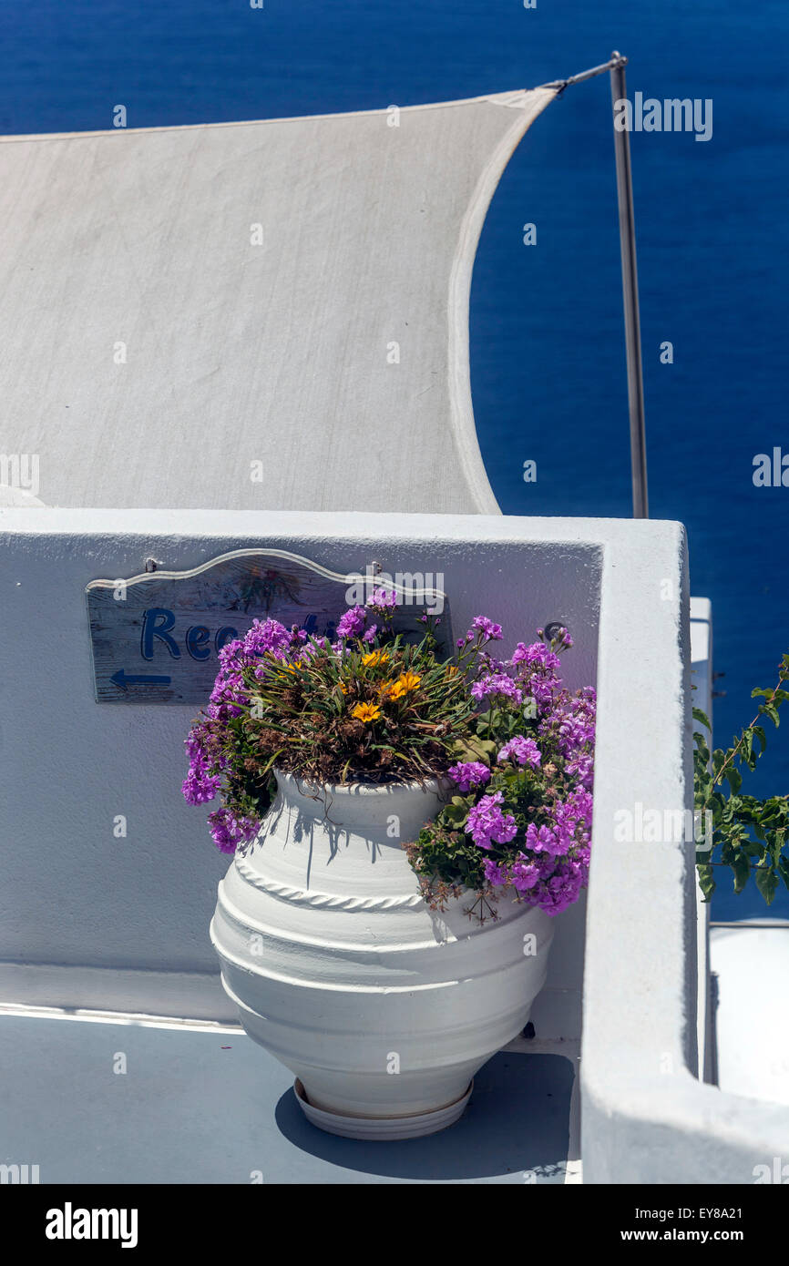 Maison terrasse avec pot à fleurs, Santorin, Cyclades, fleurs Grèce, fleurs colorées ciel bleu Banque D'Images