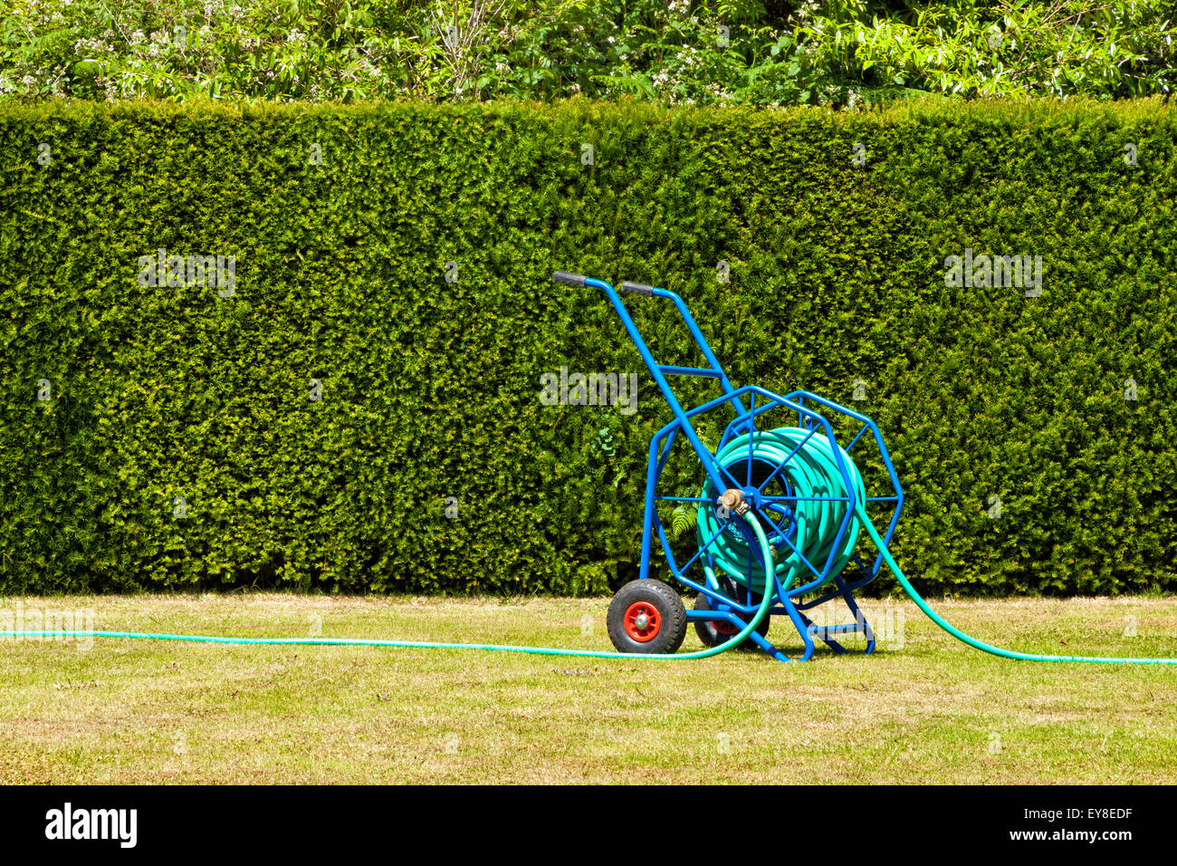Heavy duty bleu enrouleur de tuyau de jardin, chariot pour arrosage de jardin sur pelouse desséchée qui n'a souffert de la sécheresse Banque D'Images