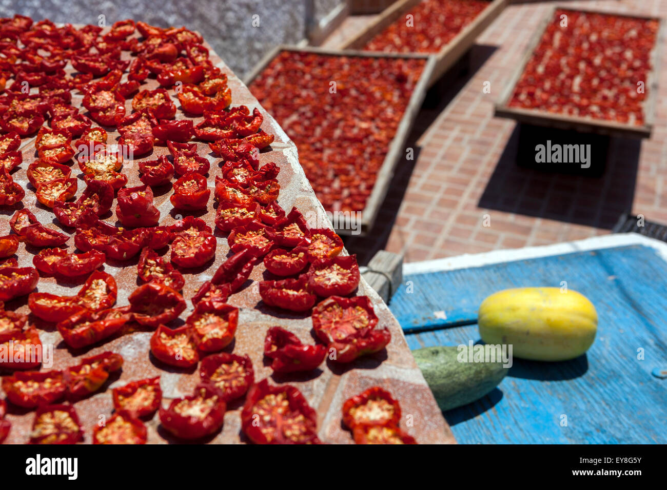 Séchage des tomates au soleil dans le village grec Oia, Santorini, Cyclades, Grèce tomates tomates tomates sèches tomate Santorini Banque D'Images