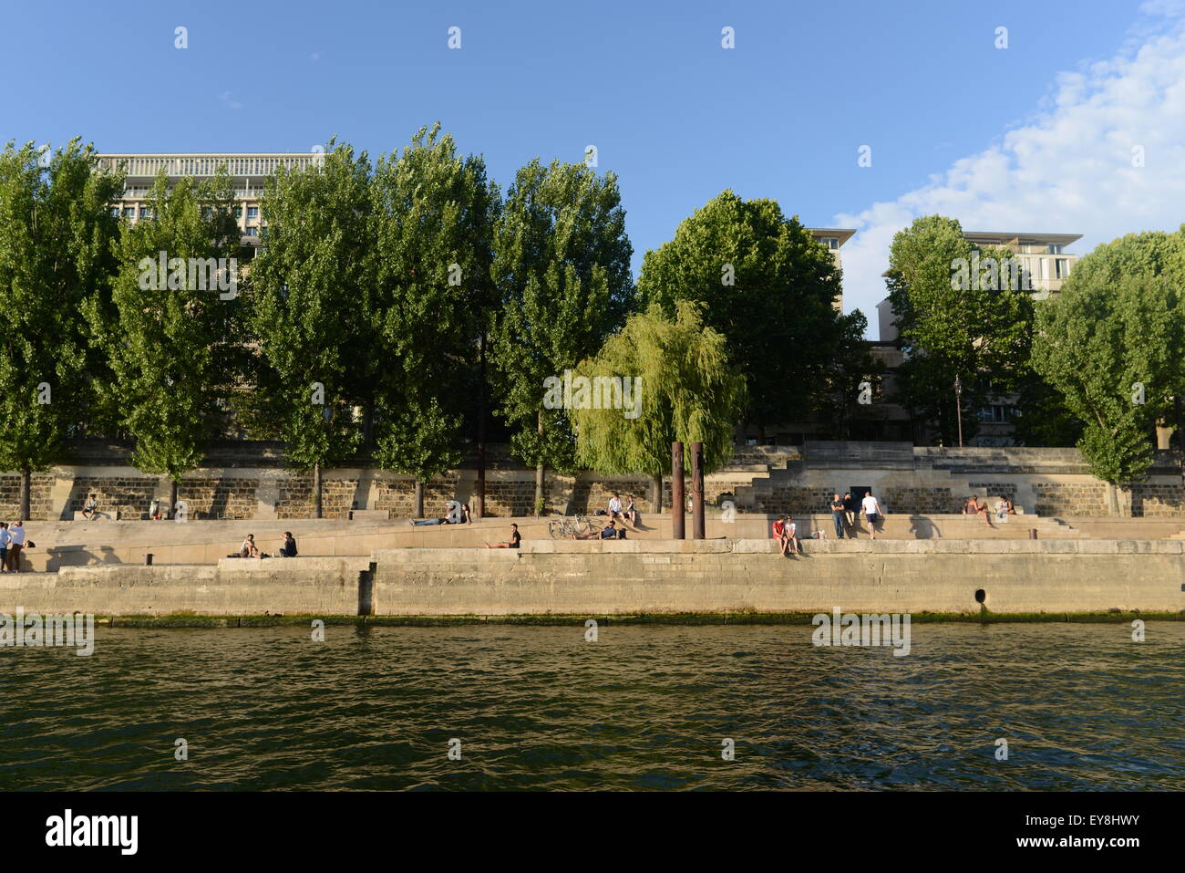 Les rives de la seine, Paris, France, le Batobus Banque D'Images