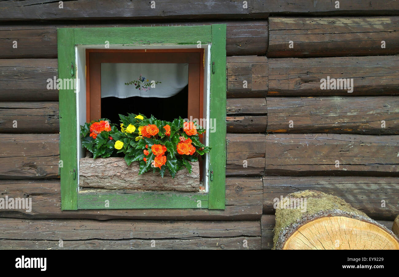 Une fenêtre fleurie dans un bâtiment en bois de style alpin Banque D'Images