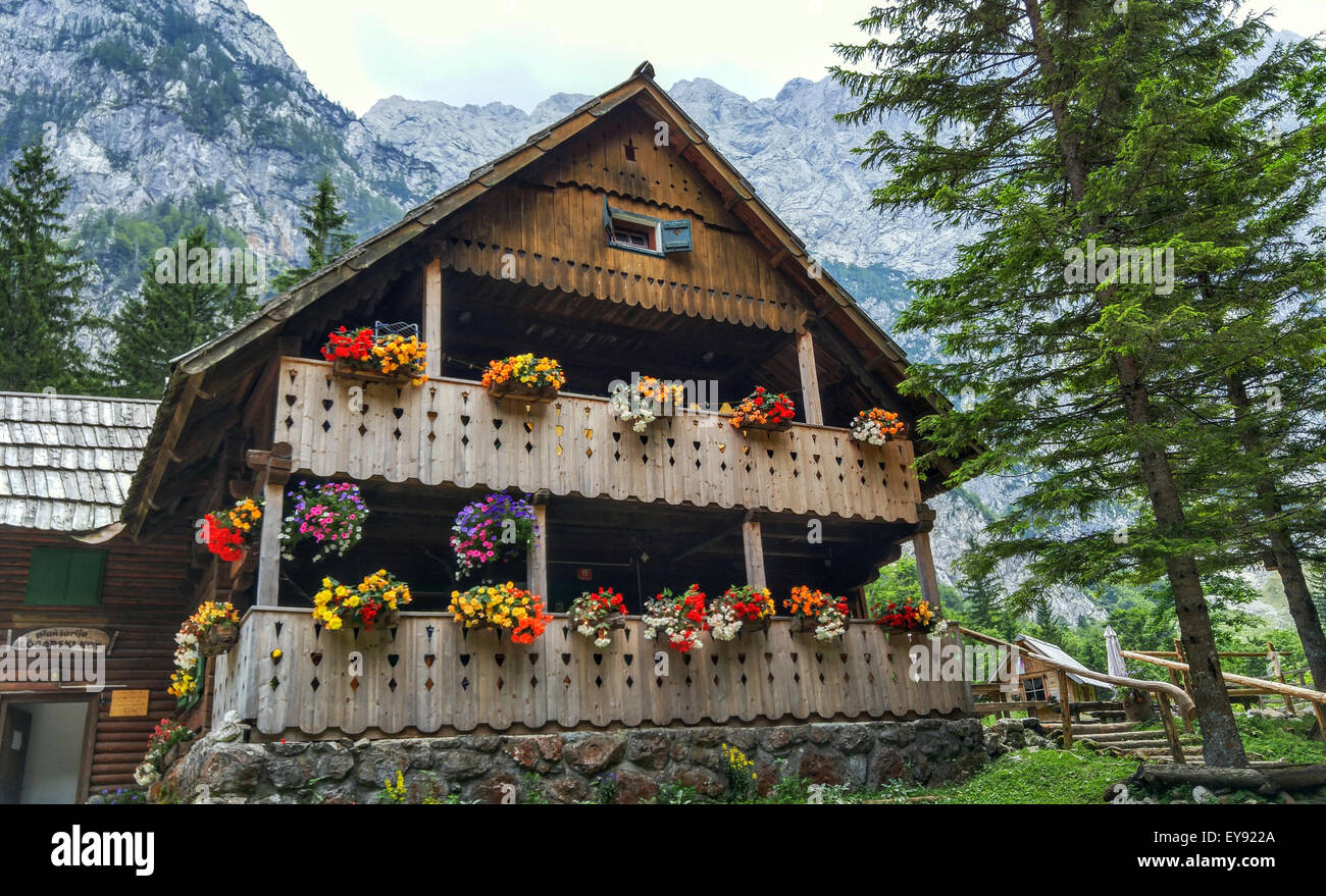 Logarska Dolina ferme en Slovénie Banque D'Images