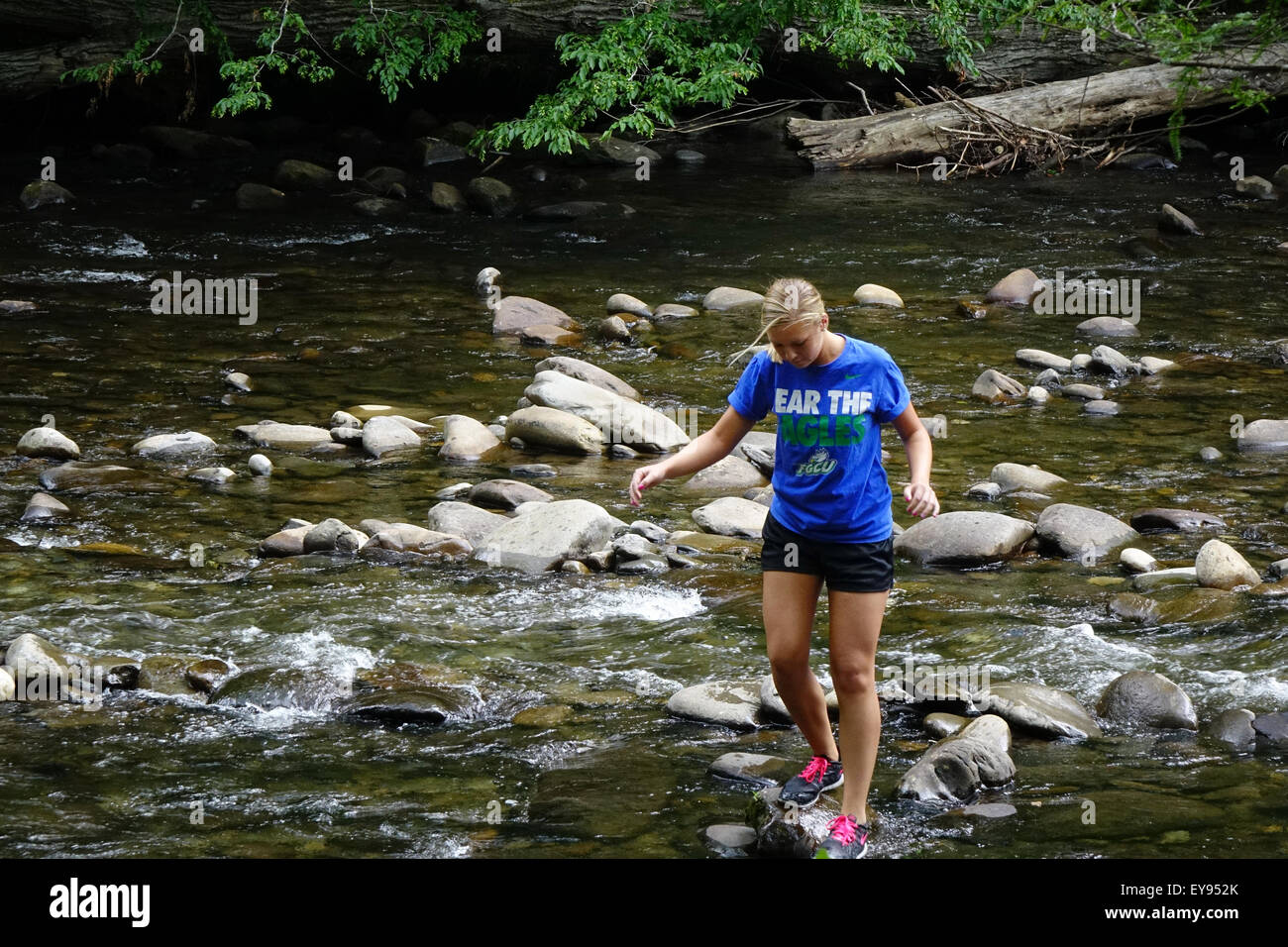 Fille qui marche sur les rochers de Laurel Creek, Parc national des Great Smoky Mountains Banque D'Images