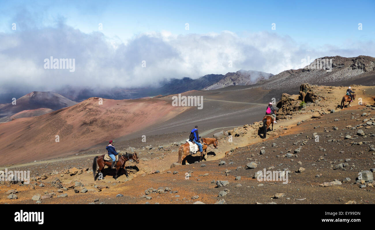 Les cavaliers de Pony Express tour ride le Sentier des sables bitumineux coulissante au Parc National de Haleakala sur Maui Banque D'Images