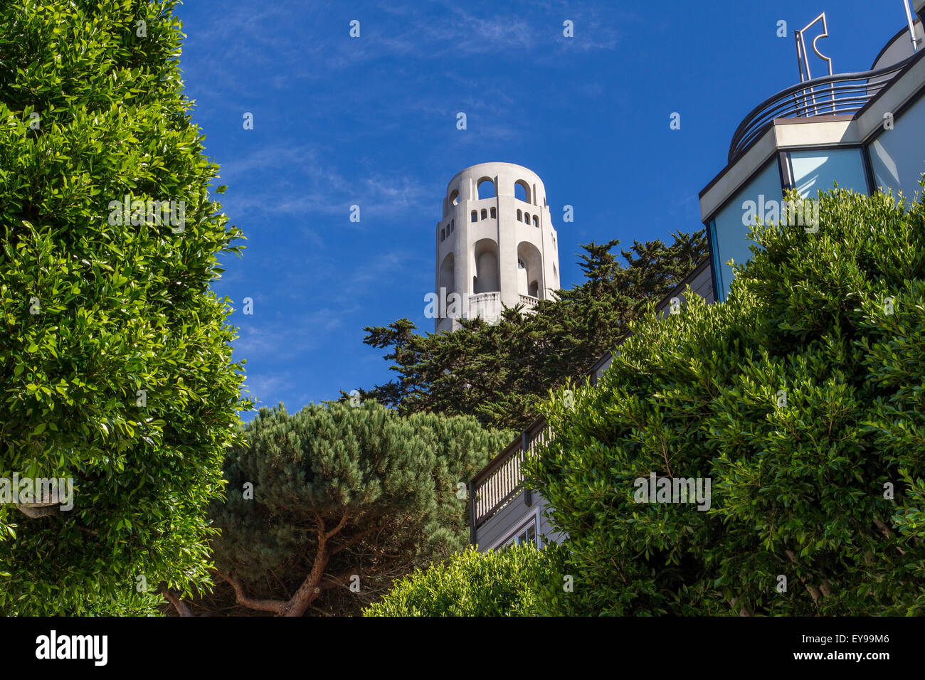 La Coit Tower située à San Francisco's Telegraph Hill est un monument qui sera visible dans toute la ville, San Francisco Californie , Banque D'Images