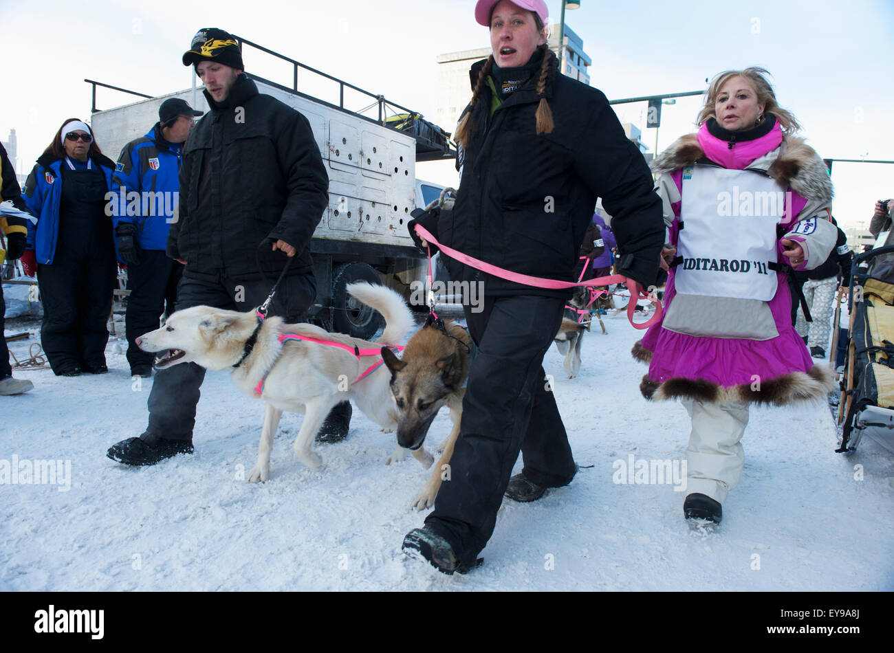 Deedee Jonrowe et son chien de tête de l'équipe de la ligne de départ à l'Iditarod 2011 commencer dans le centre-ville d'Anchorage, Alaska Banque D'Images