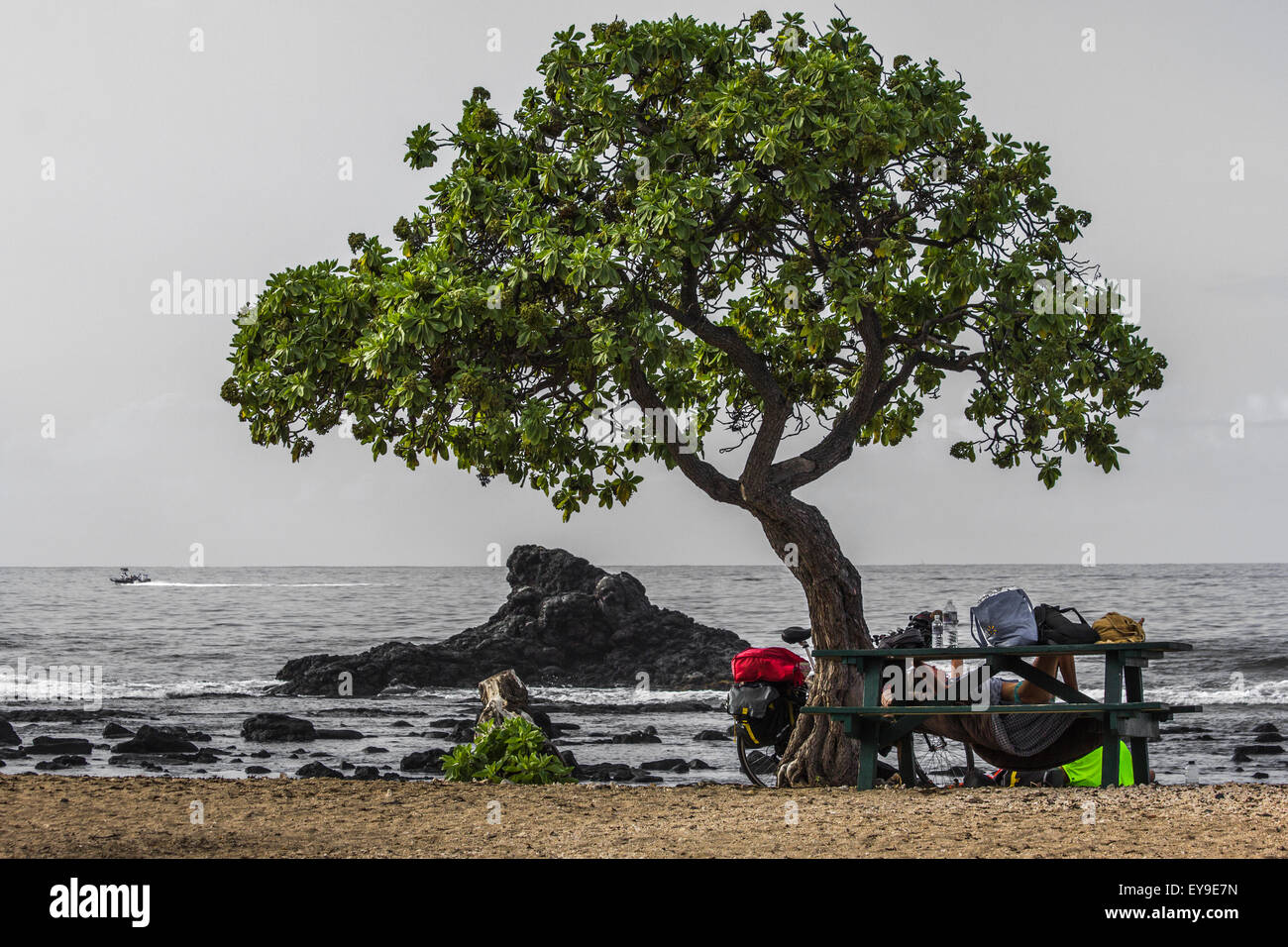 Les cyclistes sieste sous l'arbre à l'ombre sur la plage de l'aéroport Banque D'Images
