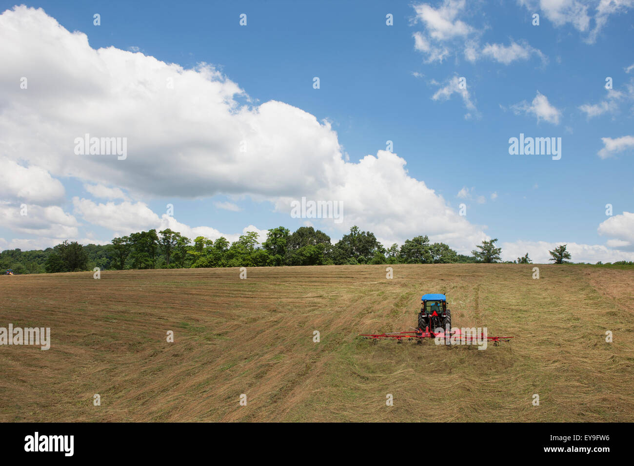 New Holland T4050 tracteur avec H5270 tedder dans la luzerne ; New Holland, Michigan, United States of America Banque D'Images