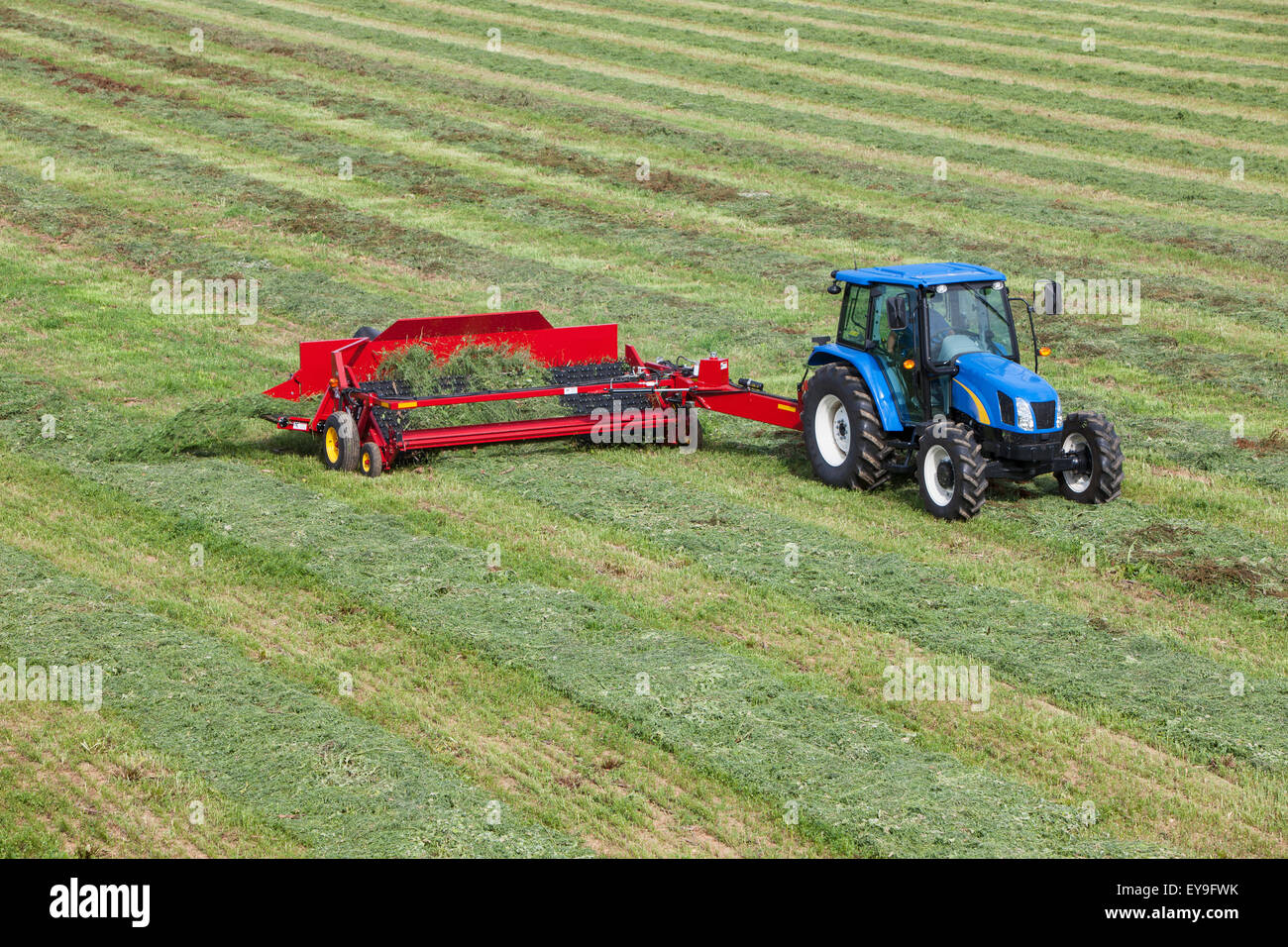 New Holland T5040 avec H5430 doubleur d'andain ; New Holland, Michigan, United States of America Banque D'Images