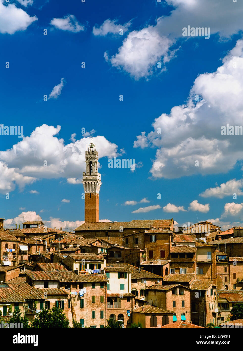 Torre De Mangia et toits de Sienne Banque D'Images