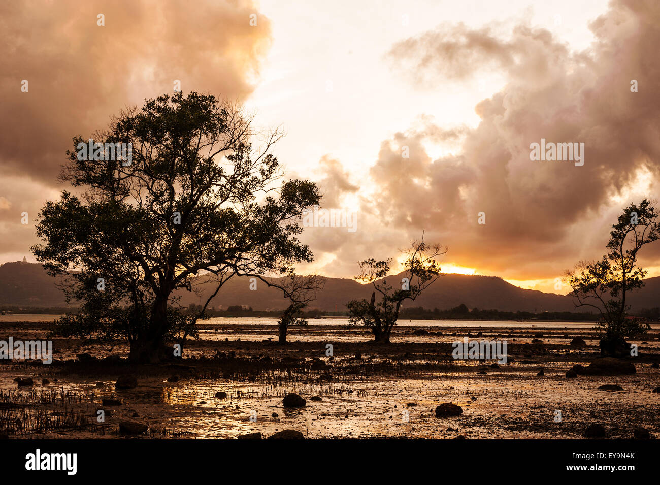 Arbre dans la mer avec couleur de coucher de soleil et nuages de tempête, Klong Mudong Beach, Phuket Thaïlande Banque D'Images